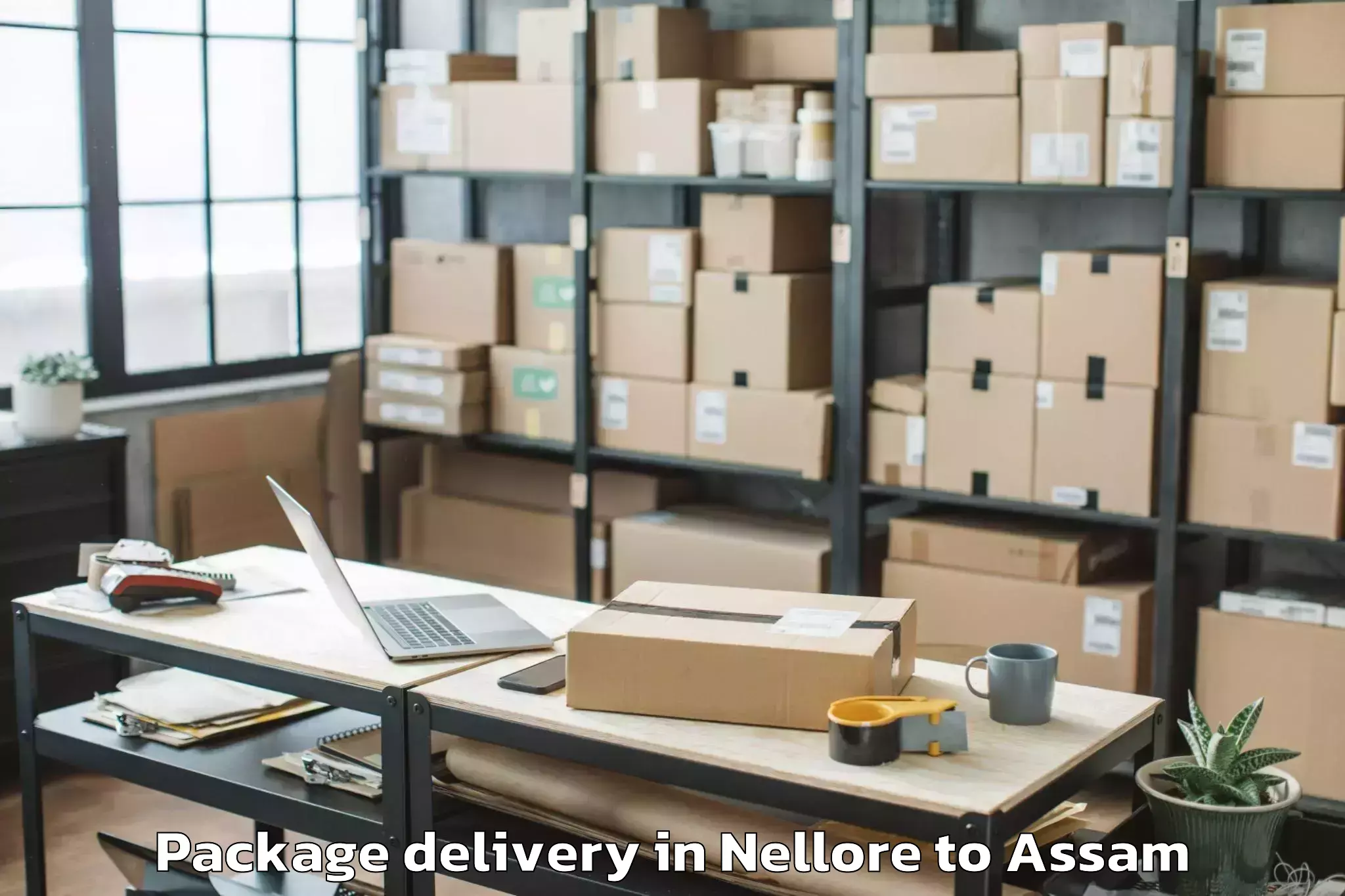 Professional Nellore to Phuloni Terang Package Delivery